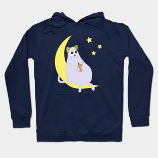 Cute Cat Looks At Stars Hoodie